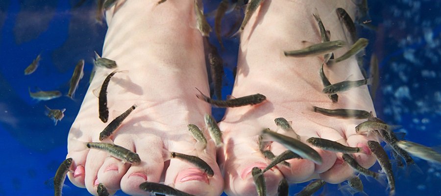 Türkiye'nin en büyük kapalı spor merkezi